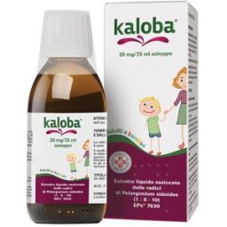 DR.WILLMAR SCHWABE Schwabe Kaloba Sciroppo Per La Tosse E Il Raffreddore 20 mg/7,5 ml Flacone 100 ml