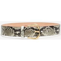 Roberto Cavalli Cintura Con Fibbia Fang - Female Accessori Grigio 85