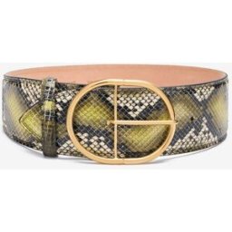 Roberto Cavalli Cintura Sagomata In Pelle Stampata - Female Accessori Verde Scuro 80