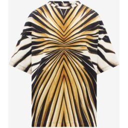 Roberto Cavalli T-shirt Stampa Ray Of Gold - Female T-shirt Oro M