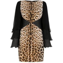 Roberto Cavalli Leopard-print Mini Dress - Female Abiti Marrone Chiaro 48