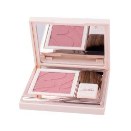 Defence Color Pretty Touch Fard Compatto 303 Bois De Rose