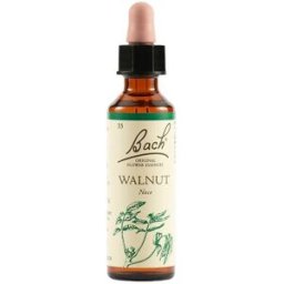 Schwabe Pharma Italia Walnut Bach Orig 20 ml Gocce orali