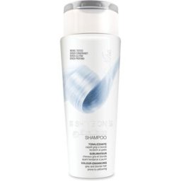 I.C.I.M. (BIONIKE) INTERNATION Shine On Shampoo Silver Touch 200 ml