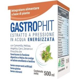 AVD REFORM GASTROPHIT MACERATO 500ML
