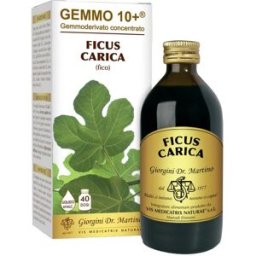 DR.GIORGINI SER-VIS Srl Ficus Carica (Fico) - Giorgini Dr. Martino - 200 ml - Gemmoderivato concentrato di Fico