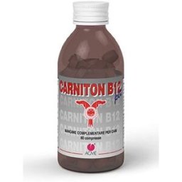 CARNITON B12 Pet 80 Cpr x Cani