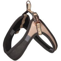 ROGZ Pettorina Urban Fast Fit Cane Oro M