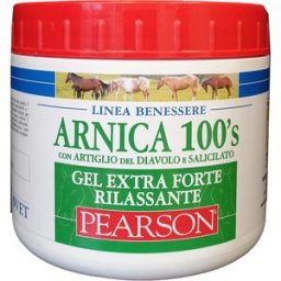 ARNICA 100'S EXTRA FT RIL500ML