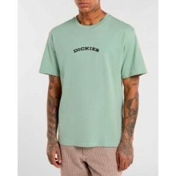 T-shirt mezza manica Dickies salvia con stampa grafica outdoor sul retro