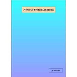 Nervous System Anatomy