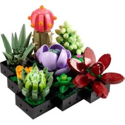 Lego Piante grasse