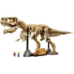 Lego Fossili di dinosauro: Tirannosauro