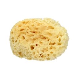 Spugna Nat Mare 2 Media