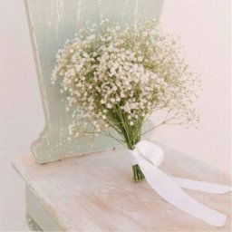SHEIN profumo di Gypsophila naturale conservato, 10/20 steli - 45 cm, fiori secchi duraturi per decorazioni di matrimoni/arredamento domestico/regali di com