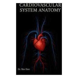 Cardiovascular System Anatomy