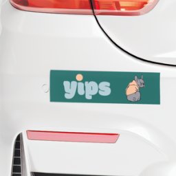 VistaPrint Etichette per auto