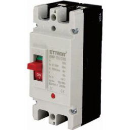 Ettroit Jx15299 Mccb Interruttore Scatolato Magnetotermico 2p 100a Dc 500v-10ka