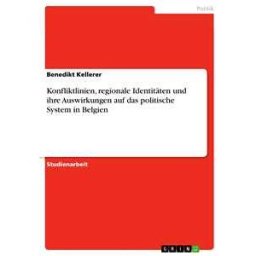 Konfliktlinien, regionale Identitäten und ihre Auswirkungen auf das politische System in Belgien