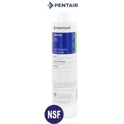 Cartuchos Pentair P1 Polipropileno Termofusionado 10" 1 Micra