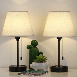 DEEPLITE Lámpara de escritorio a pilas, luz LED de escritorio, 3 modos de  iluminación, atenuación continua, lámpara de mesa de 5 W, control táctil de