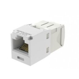 Jack PANDUIT CJ688TGWH