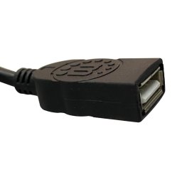 Cable de extension MANHATTAN 364898