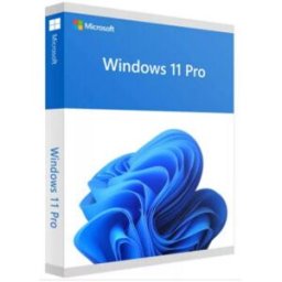 Microsoft Windows 11 Pro - 1 Licencia - OEM - 64-Bit - Español - DVD - Físico - Solo Equipos Nuevos