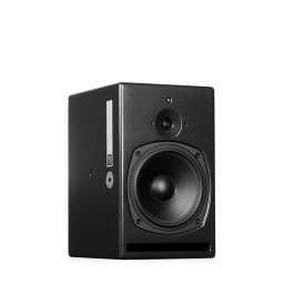 PSI Audio A21M Black Monitor de Campo Medio y Cercano de Gran Resolución