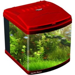 Aquatic Nature Evolution Deep Red
