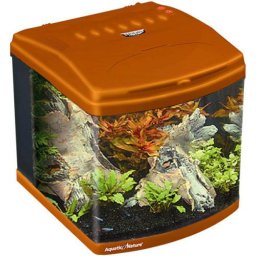 Aquatic Nature Evolution Burned Sienna