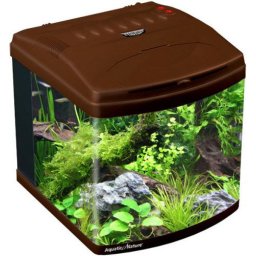 Aquatic Nature Evolution Deep Brown