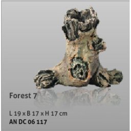 Aquatic Nature Decor Forest No 07