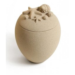 Biologisch Afbreekbare Eco Urn Oceana (3 liter)