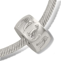 Strak Zilveren Design Pet Memorial Bead Katjes