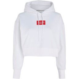 Calvin Klein Hoodie INSTITUTIONAL BOX HOODIE