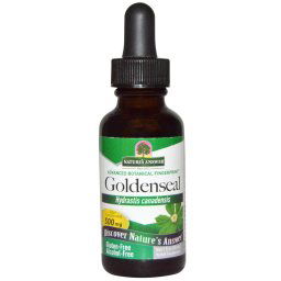 Goldenseal, Alcohol Free, 500 mg (30 ml) - Nature's Answer
