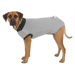 TRIXIE SHIRT VOOR NA OPERATIE GRIJS XL 70 CM