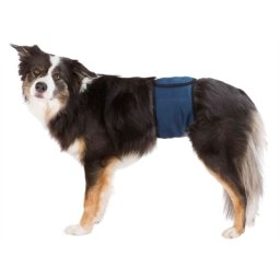 TRIXIE PLASBAND VOOR REUEN MESH DONKERBLAUW L 55-65 CM 2 ST