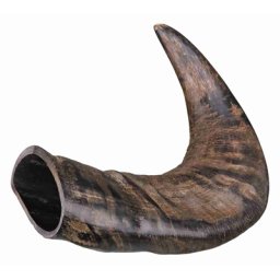 TRIXIE NATUUR-KAUWHOORN VAN DE BUFFEL MIDDEL M 6 ST