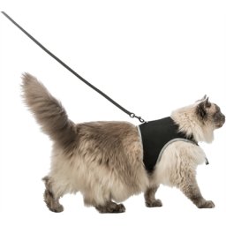 TRIXIE SOFTTUIG KAT MET RIEM ZWART 36-54 CM 120 CM 2 ST