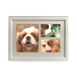 Tribute Dieren Urn met Houten Fotolijst Hoogglans Wit (3.9 liter)