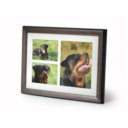 Tribute Dierenurn met Houten Fotolijst Tinkleurig (3.9 liter)