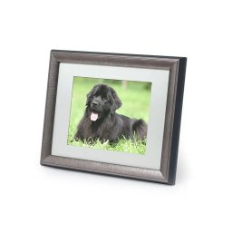 Tribute Dierenurn met Houten Fotolijst Tinkleurig (1.5 liter)
