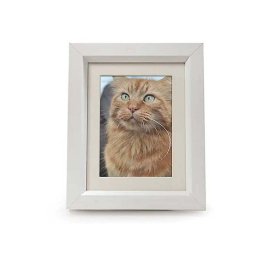 Tribute Dierenurn met Houten Fotolijst Hoogglans Wit (0.95 liter)