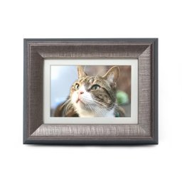 Tribute Dierenurn met Houten Fotolijst Tinkleurig (0.95 liter)