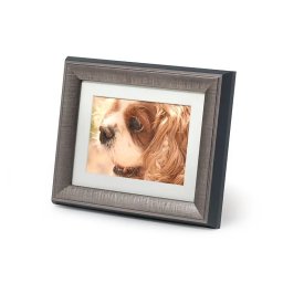 Tribute Dieren Urn met Houten Fotolijst Tinkleurig (0.55 liter)