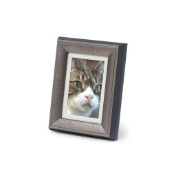Tribute Dierenurn met Houten Fotolijst Tinkleurig (0.25 liter)