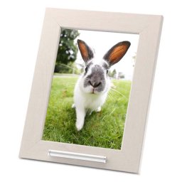 Effen Dieren Fotolijst, met RVS Asbuisje (0.02 liter)