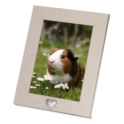 Effen Dieren Fotolijst met Tinnen Ashartje (0.005 liter)